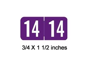 ACME Year 2014 Laminate Labels - Purple - ACYM