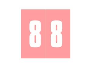 AMES AMNM NUMBER LABEL - PINK 8