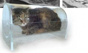 CT Veterinary Small Cat Trap