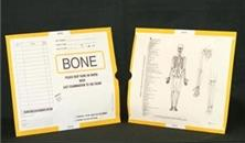 263336-250 - CI6125 Open End Category Insert Jackets - Bone with Yellow Border Ink Color - System A