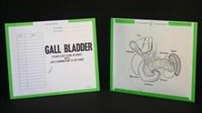 257951-250 - CI7240 Open Top Category Insert Jackets - Gall Bladder with Light Green Border Ink Color - System B