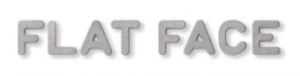 Flat Face Font