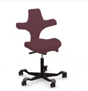 HAG Capisco 8106 Canter Bordeaux Silver Base